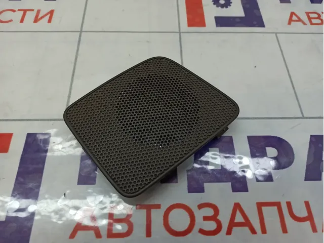 Решетка динамика в торпедо левая Nissan Pathfinder 28177EB300