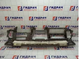 Торпедо Nissan Pathfinder 68100EB301