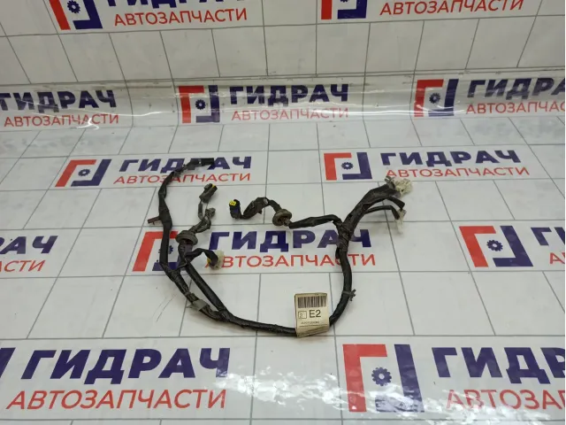Проводка двери багажника Nissan Pathfinder 24051EB324