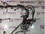 Проводка двигателя Nissan Patrol (Y62) 240111LA0B