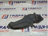 Пыльник горловины топливного бака Nissan Patrol (Y62) 17290-1LB0A