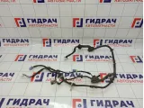 Проводка двери передней левой Nissan Primera (P12) 24125-AU000