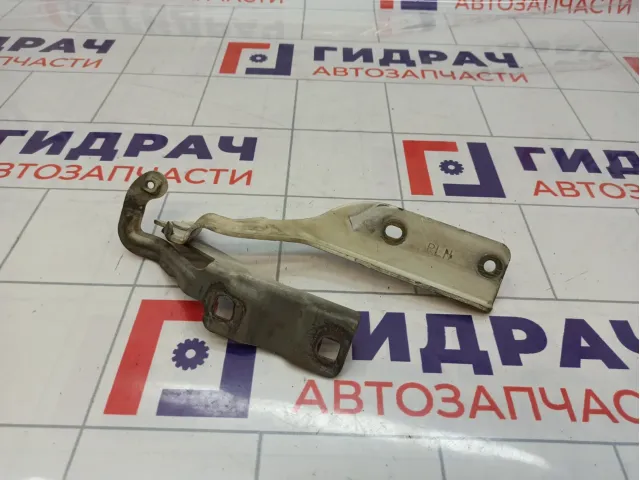 Петля капота левая Nissan Primera (P12) 65401-AU000