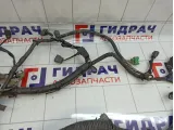 Проводка двигателя Nissan Primera (P12)