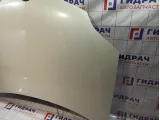 Капот Nissan Primera (P12) F5100-AU0MM