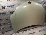 Капот Nissan Primera (P12) F5100-AU0MM