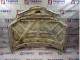 Капот Nissan Primera (P12) F5100-AU0MM