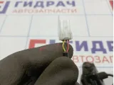 Камера заднего вида Nissan Primera (P12) 28442-BA000