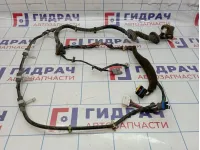 Проводка двери передней левой Nissan Primera (P12) 24124-BA202