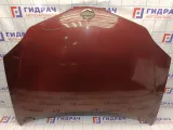 Капот Nissan Primera (P12) 65100-AV630