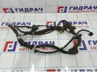 Проводка двери передней левой Nissan Primera (P12) 24124-BA202