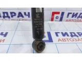 Амортизатор задний Nissan Primera (P12) 56210-BA025