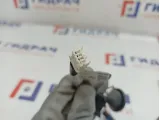 Проводка подсветки номера Nissan Primera P12 24025-AV000.