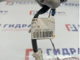 Проводка подсветки номера Nissan Primera P12 24025-AV000.