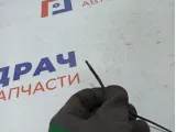 Датчик температуры испарителя Nissan Primera P12 .