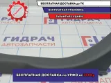 Накладка порога внутренняя задняя правая Nissan Primera (P12) 769B6-AV700. Потертость, царапины.