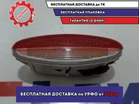 Подсветка двери Nissan Primera (P12) .