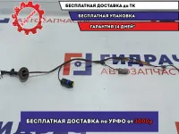 Проводка крышки багажника Nissan Primera (P12) 24025-AV000.