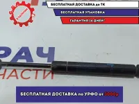 Амортизатор крышки багажника Nissan Primera (P12) 84430-AV600.