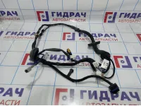Проводка двери передней левой Nissan Qashqai (J10) 24124-JD11A.