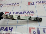Рейка топливная Nissan Qashqai (J10) 17520-EE30B.