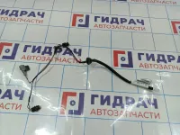 Проводка на фонарь подсветки номера Nissan Qashqai (J10) 24055-JD00A.
