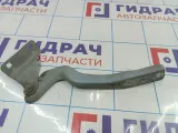 Петля капота левая Nissan Qashqai (J10) 65401-JD000.