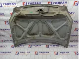 Капот Nissan Qashqai (J10) . Вмятины. Сколы.