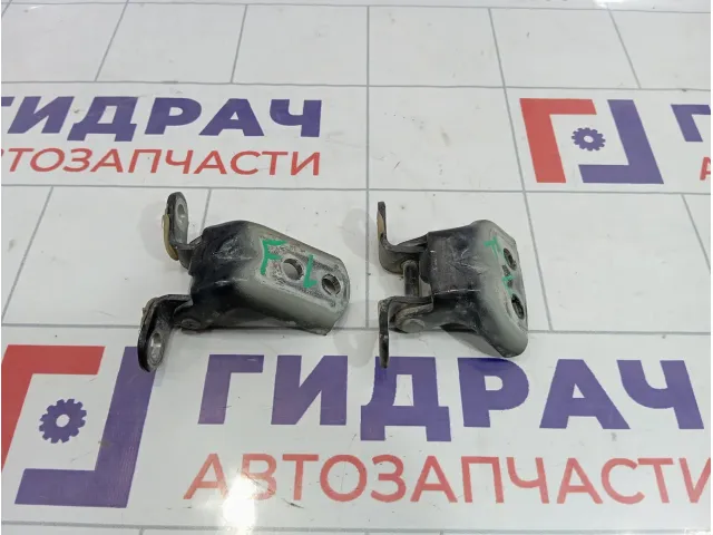 Петли двери передней левой Nissan Qashqai (J10)