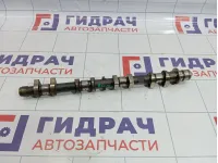 Распредвал выпускной Nissan Qashqai (J10) 13020-CK80C
