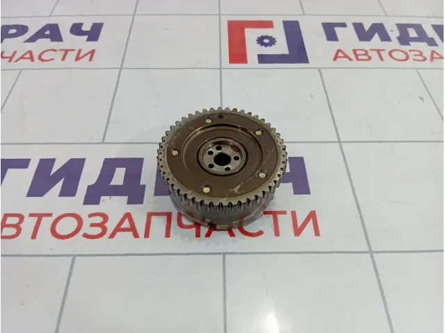 Механизм изменения фаз ГРМ Nissan Qashqai (J10) 13025-CK80A