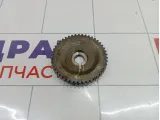 Шестерня распредвала Nissan Qashqai (J10) 13024-CK82A
