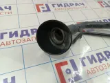Горловина топливного бака Nissan Qashqai (J10) 17221-JD000.
