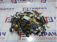 Фишка разъем Nissan Qashqai (J10) .