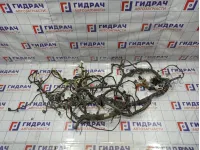 Проводка моторная Nissan Qashqai (J10) 24012-JD20E.