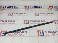 Накладка стекла заднего правого Nissan Qashqai 82820JD00A