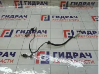 Проводка фонаря подсветки номера Nissan Qashqai 24055JD00A