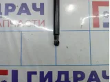 Амортизатор двери багажника Nissan Qashqai (J10) 90450-JD01B