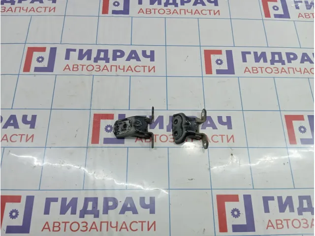 Петли двери пердние правые Nissan Qashqai (J10)