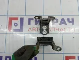 Петли двери задние левые Nissan Qashqai (J10)