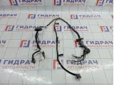 Проводка передней левой двери Nissan Qashqai (J10) 24124-JD10D