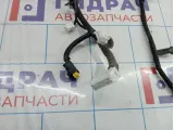Проводка передней левой двери Nissan Qashqai (J10) 24124-JD10D