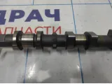 Распредвал выпускной Nissan Qashqai (J10) 13020-BC23C
