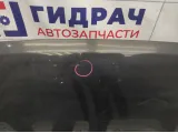 Капот Nissan Qashqai (J10) F5100-BR0MA