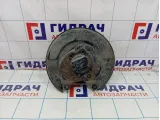 Ступица задняя левая Nissan Qashqai (J10)