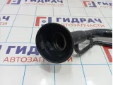 Горловина топливного бака Nissan Qashqai (J10) 17221-JD000