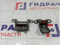 Петли двери задней правой Nissan Qashqai