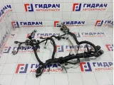 Проводка двигателя Nissan Qashqai 24011JD02B