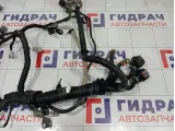 Проводка двигателя Nissan Qashqai 24011JD02B