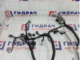 Проводка двигателя Nissan Qashqai 24011JD02B